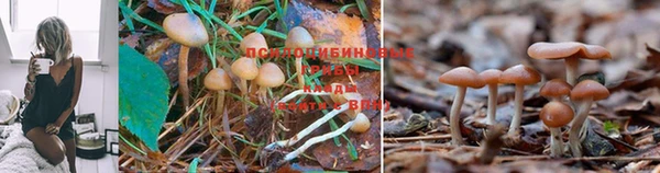 кокс Новокубанск