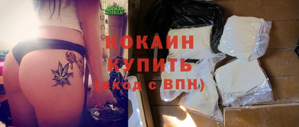 прущие грибы Козельск