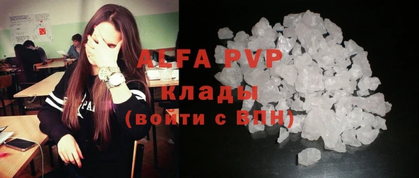 PSILOCYBIN Киренск