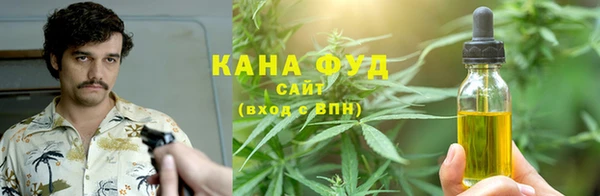 гашик Ельня