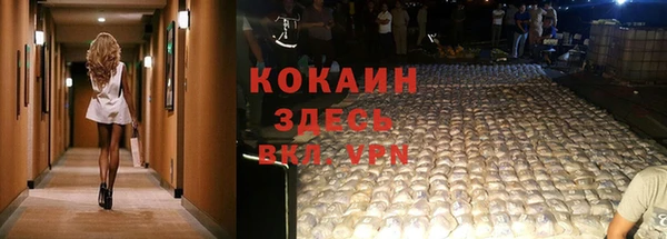 мдма Новозыбков