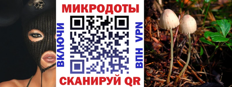 Псилоцибиновые грибы Psilocybe  наркота  kraken ТОР  Кизляр 
